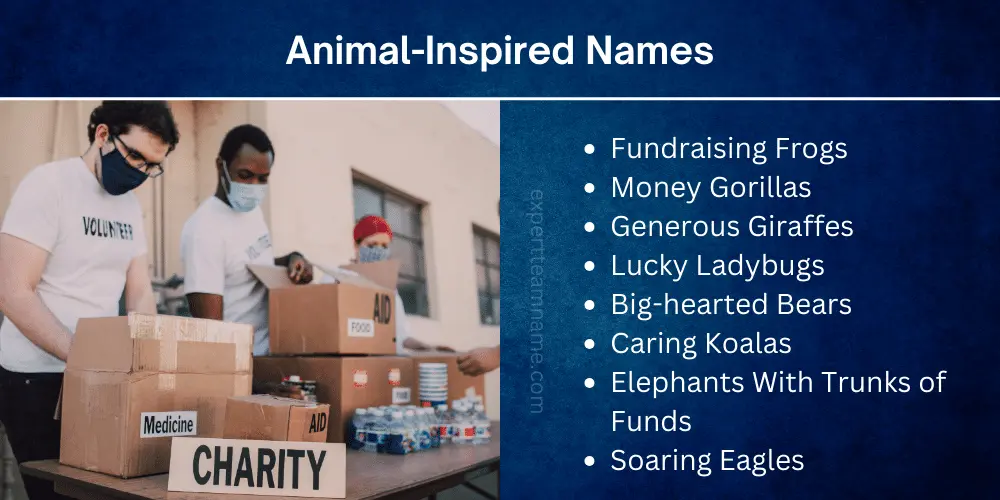360+ Catchy & Creative Fundraising Team Names (With Tips) 5 Animal-Inspired Names