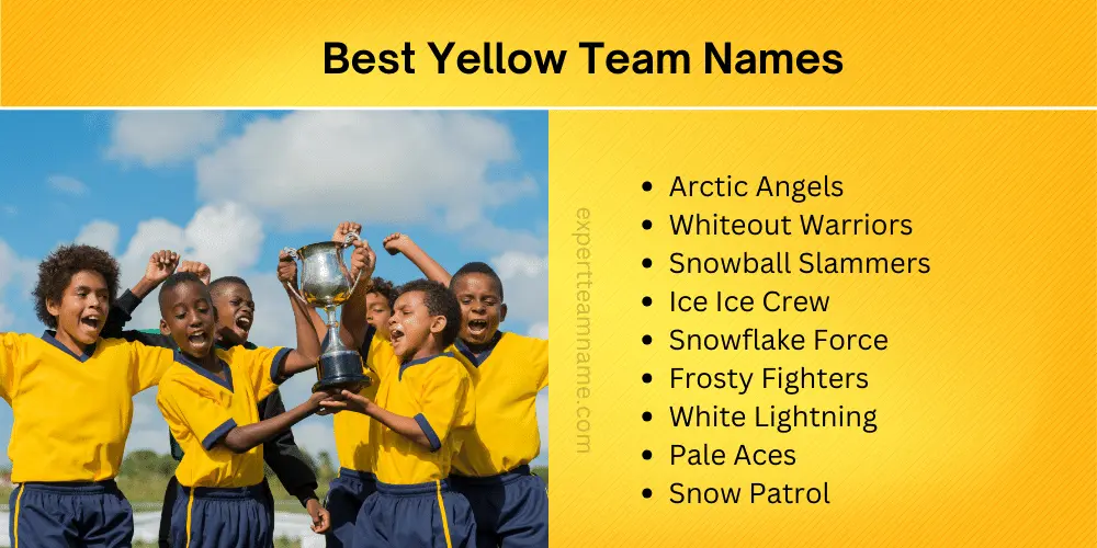 314 Best Yellow Team Names - Unique, Funny Meaningful Ideas 2 Best Yellow Team Names