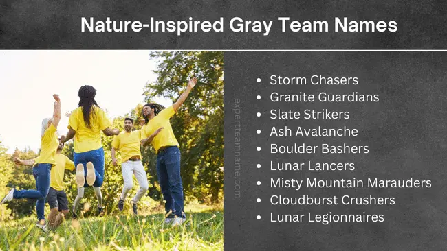 227 Awesome Gray Team Names - From Cool to Funny 3 Gray Team Names