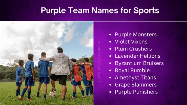 Purple Team Names: 215 Best Catchy, Funny, Sports & Gaming 3 Purple Team Names for Sports