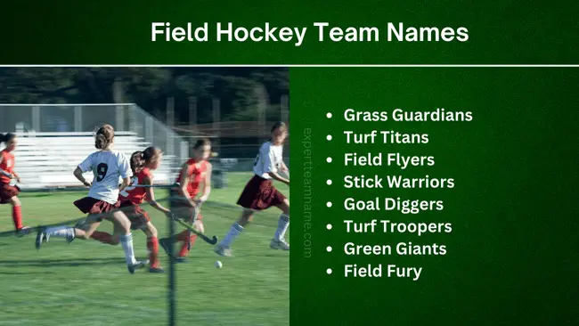 351 Hockey Team Names: Creative Ideas to Inspire Your Team 3 Field Hockey Team Names