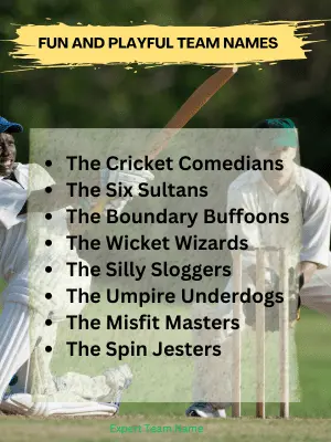 144 Cricket Team Names: Best Ideas for Every Cricket Lover 4 Fun and Playful Team Names