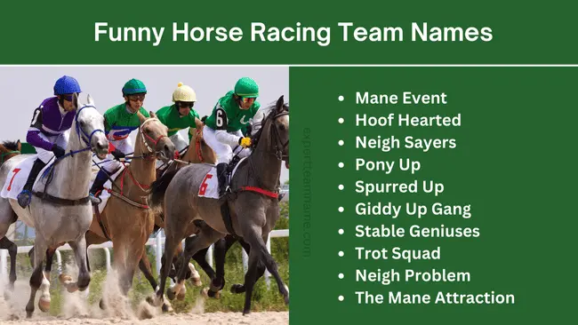 199 Horse Racing Team Names: Best, Funny, Cool & Creative 2 Funny Horse Racing Team Names