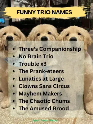 512+ Trio Names: Perfect Ideas for 3-Person Teams 6 Funny Trio Names