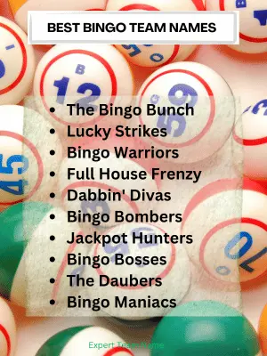 360+ Bingo Team Names for Every Kind of Group 2 Best Bingo Team Names