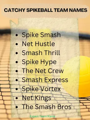 519 Spikeball Team Names: Best, Funny, Unique & More! 4 Catchy Spikeball Team Names