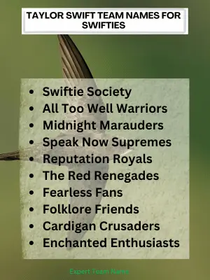 190 Taylor Swift-Inspired Team Names for Swifties & Fans 3 Taylor Swift Team Names for Swifties
