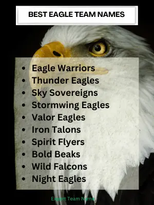 209 Inspiring Eagle Team Names for Every Group and Occasion 2 Best Eagle Team Names