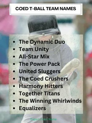 197 Tball Team Names | Find the Perfect Name Today 3 Coed T-Ball Team Names