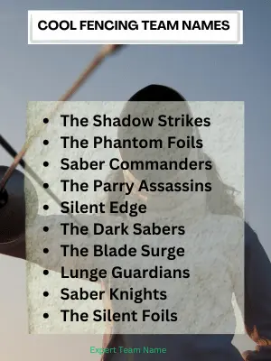 215 Best Fencing Team Names: Creative, Cool & Unique Ideas 3 Cool Fencing Team Names