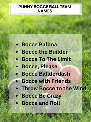210 Bocce Ball Team Names for Every Style and Group 5 Punny Bocce Ball Team Names
