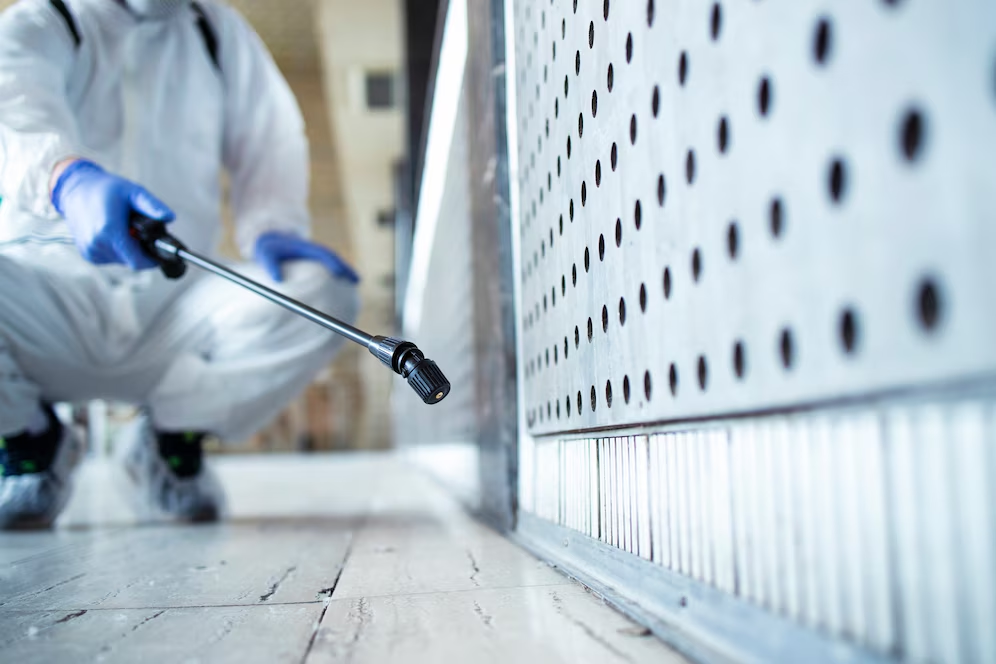 7 Effective Strategies for A Pest-Free Living Space