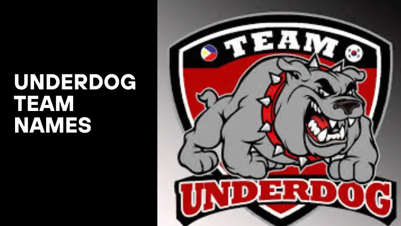 155 Underdog Team Names to Inspire Grit and Glory 1 Underdog Team Names