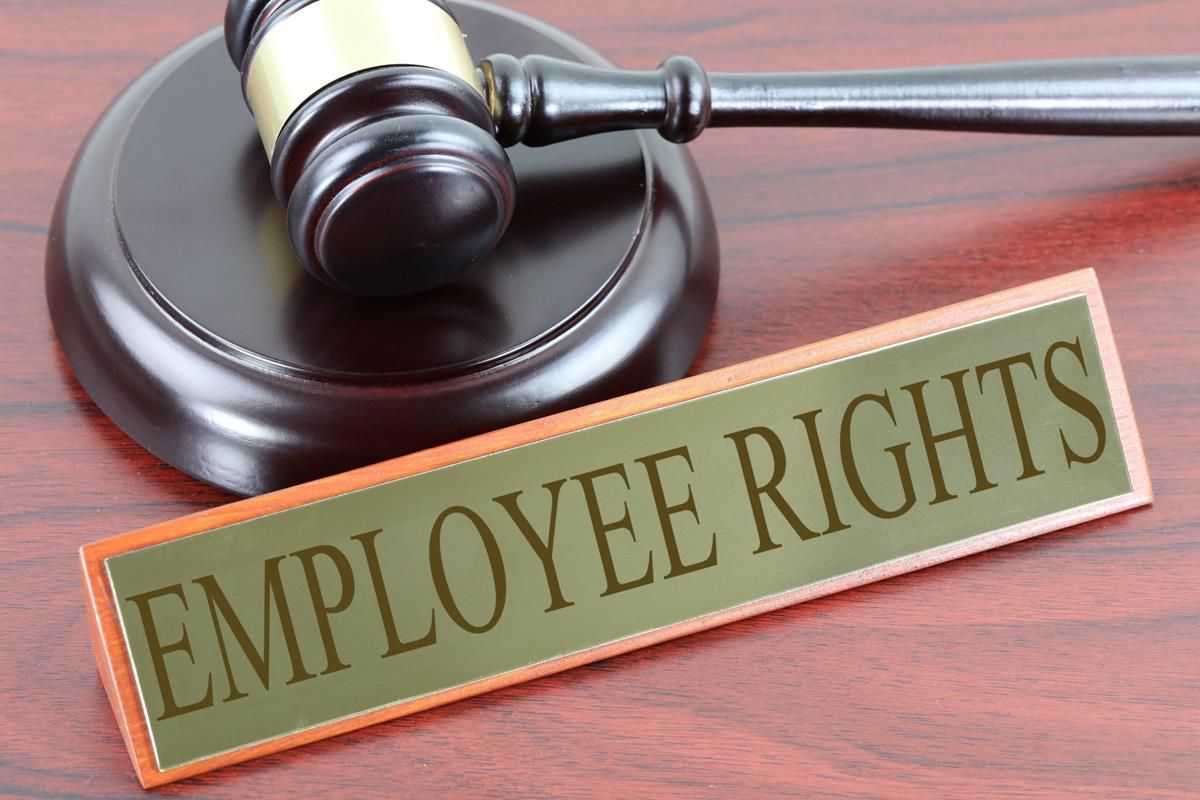 Rights in the Workplace: How Important is Employment Law 1