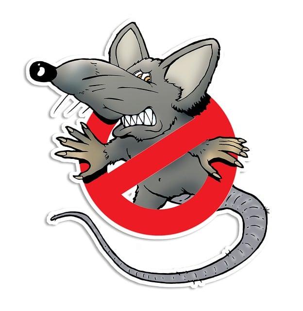 How Can You Prevent Future Pest Infestations?