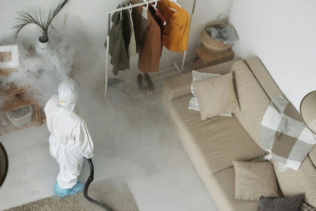 How Frontline Termite & Pest Control Protects Richmond Homes From Pests?