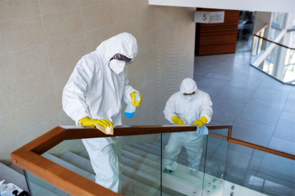 What To Expect When You Hire Professional Pest Control Company 1