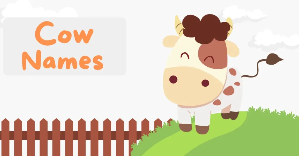Cow Names