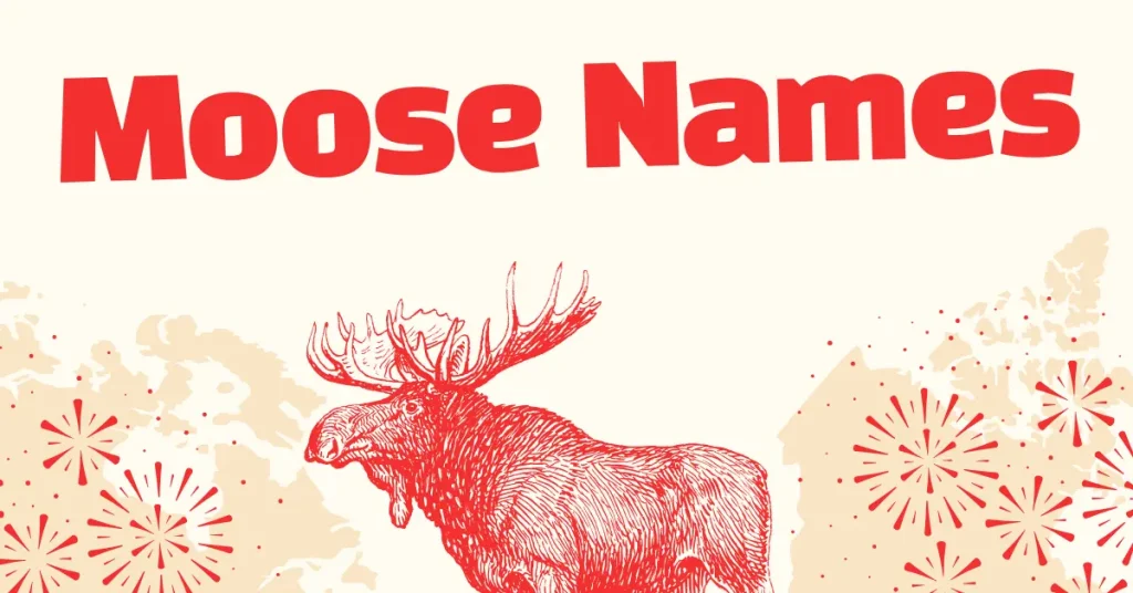Moose Names