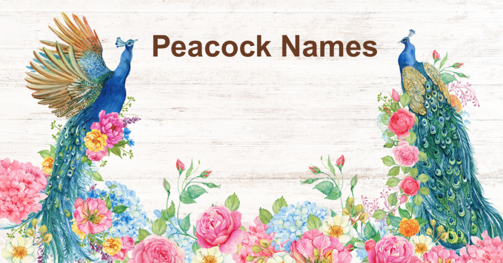 Peacock Names
