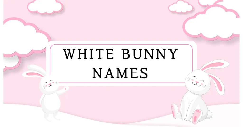 White Bunny Names